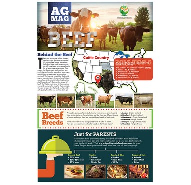 Beef Ag Mag